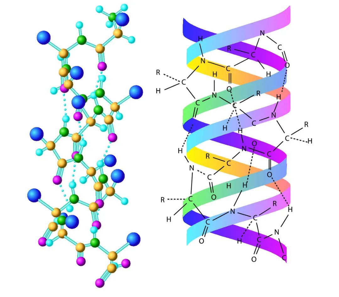 1695344619155087.jpg 1689732241337834.jpg